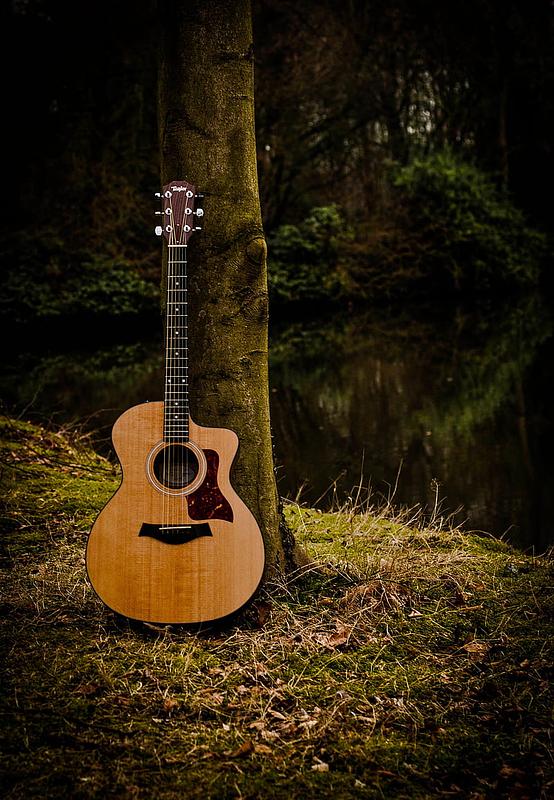 Free Live Musical performance with Guitar and Keyboard