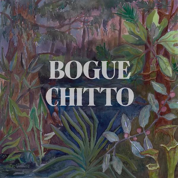 Bogue Chitto