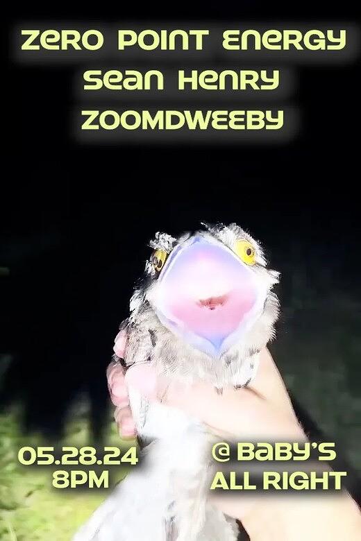 Zero Point Energy with Sean Henry, ZOOMDWEEBY