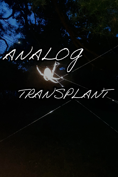 Analog Transplant