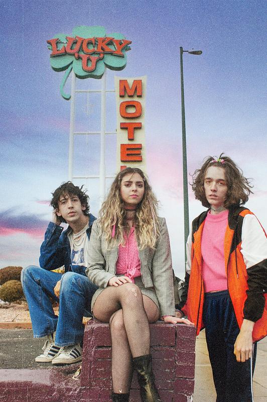 The Velveteers