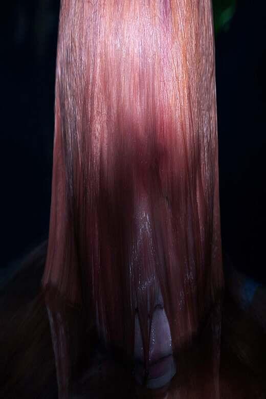 *SOLD OUT* WISP w/ Photographic Memory